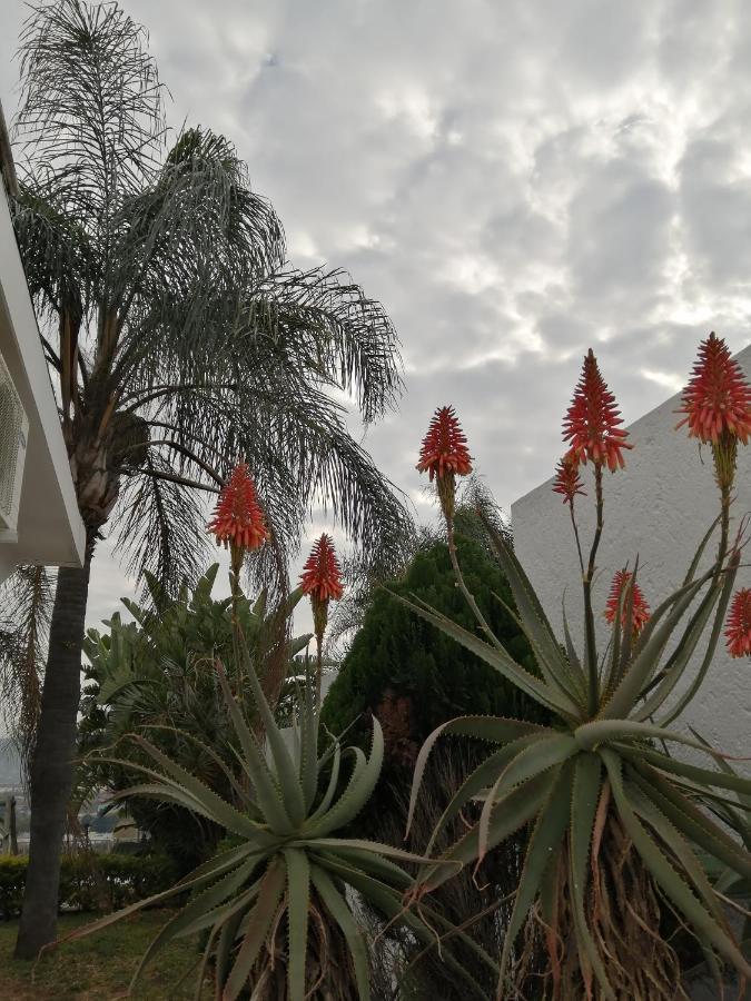 Palm View Guest House Pretoria-Noord Esterno foto